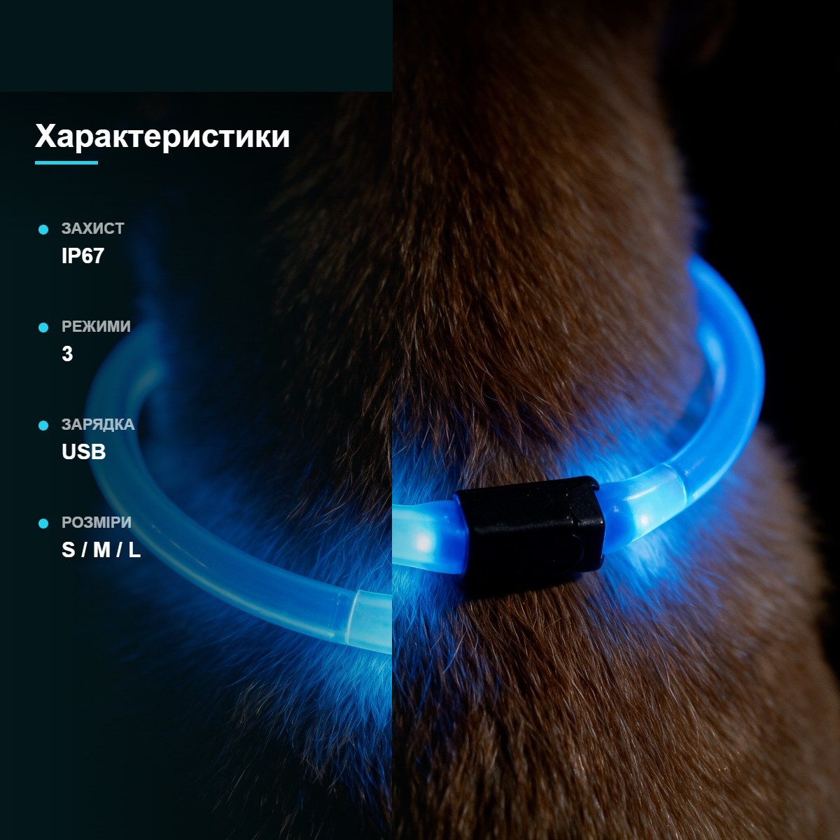 LED нашийник для собак що світиться — фото 4